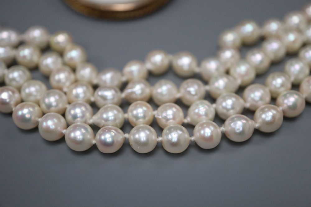 A modern quadruple strand cultured pearl bracelet, 15.8cm and a yellow metal mounted oval cameo shell brooch, 52mm.